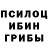 Псилоцибиновые грибы ЛСД Magir Gulamov