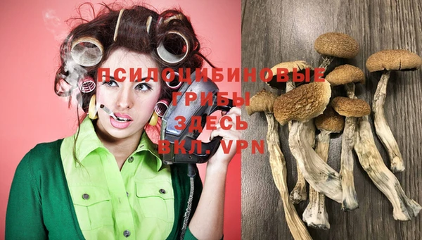 MESCALINE Баксан